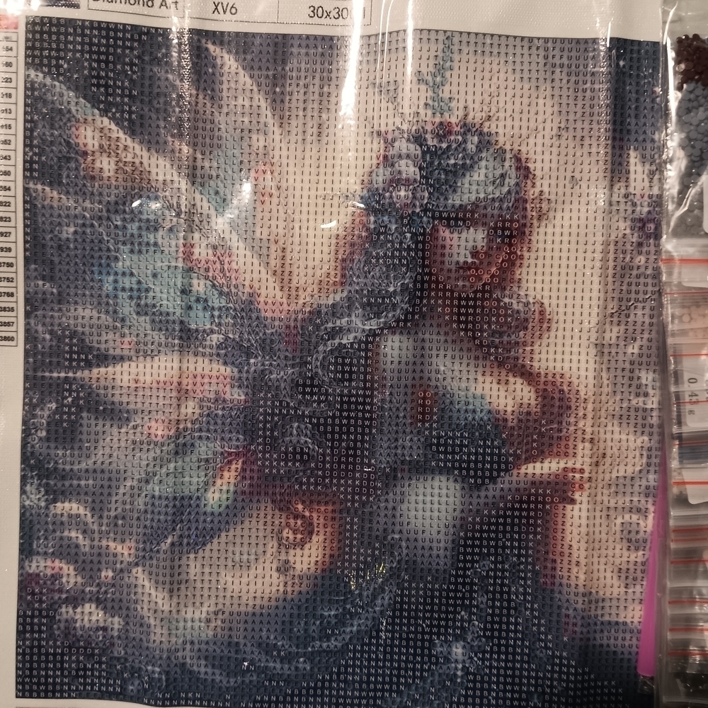 Mystical Fairy Diamond Art Kit 30x30
